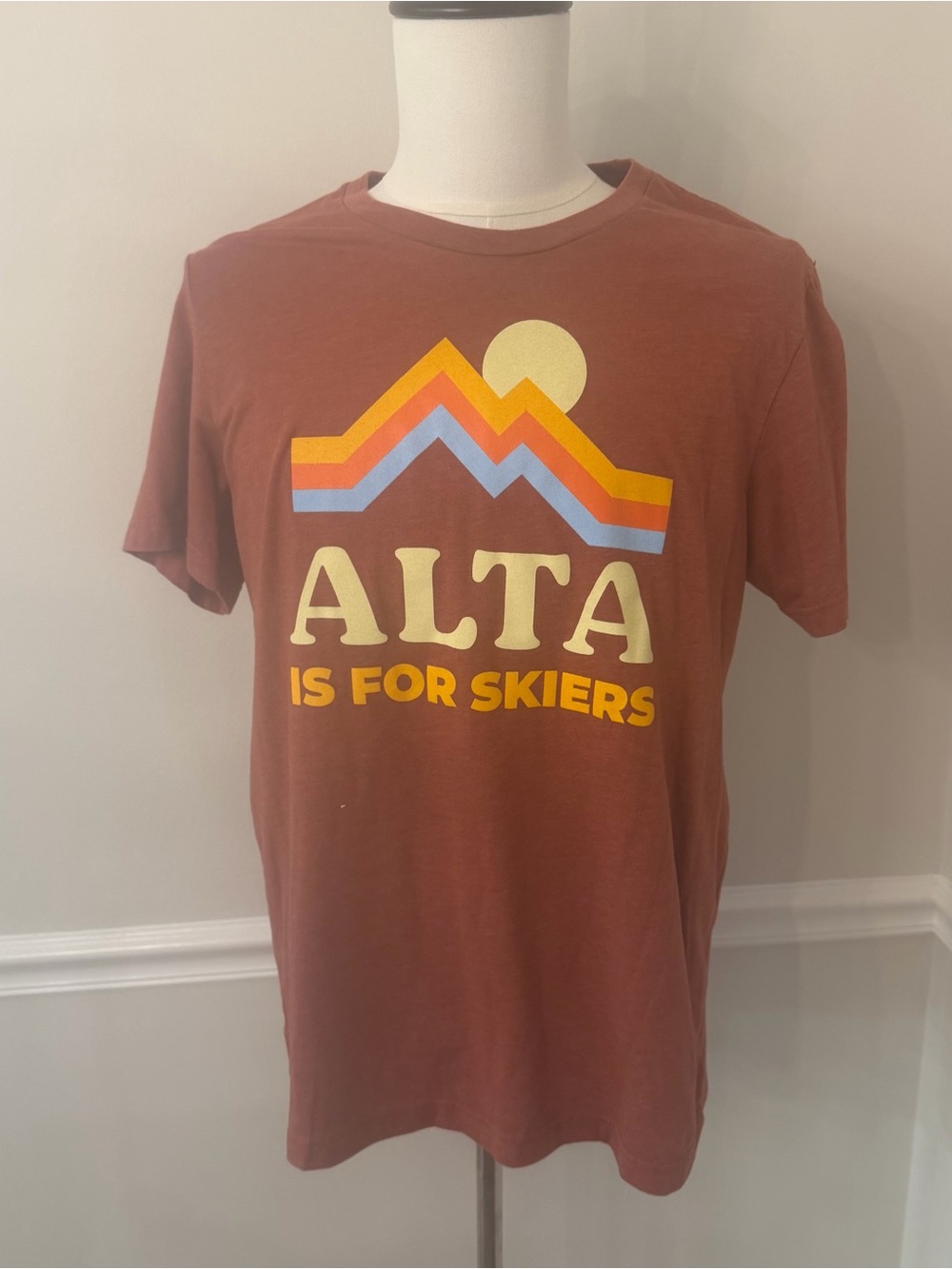 Alta retro men’s graphic tee terracotta- Size large